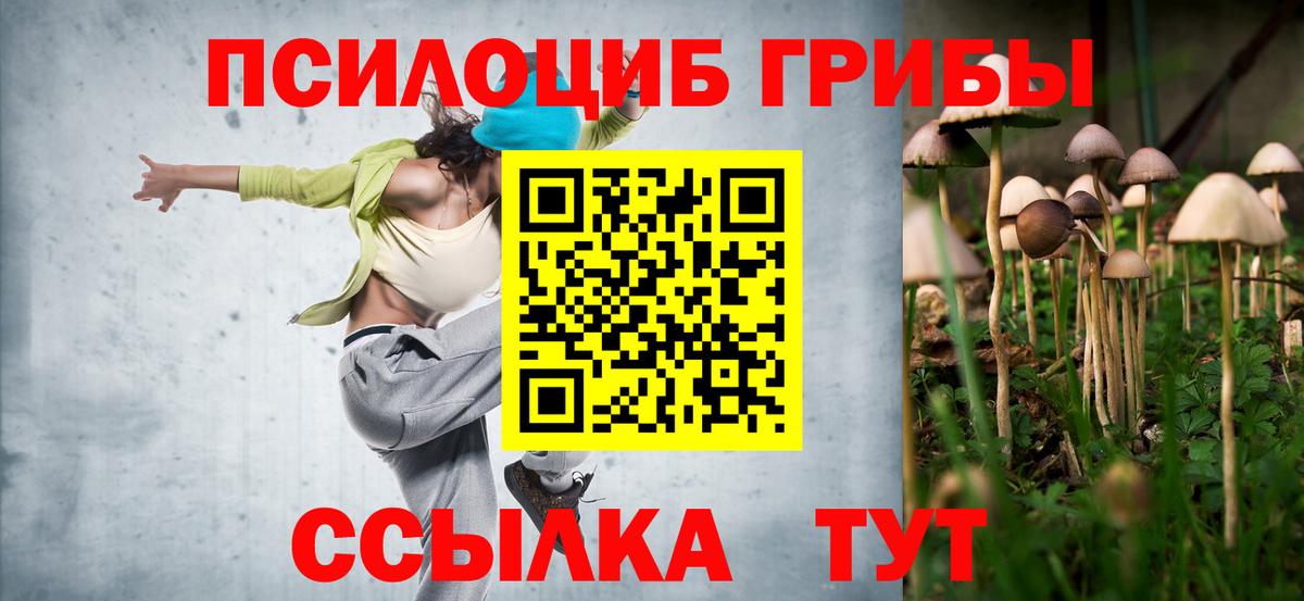 Нижнеудинск  Псилоцибиновые грибы GOLDEN TEACHER  Псилоцибиновые грибы Cubensis  Вход с VPN 